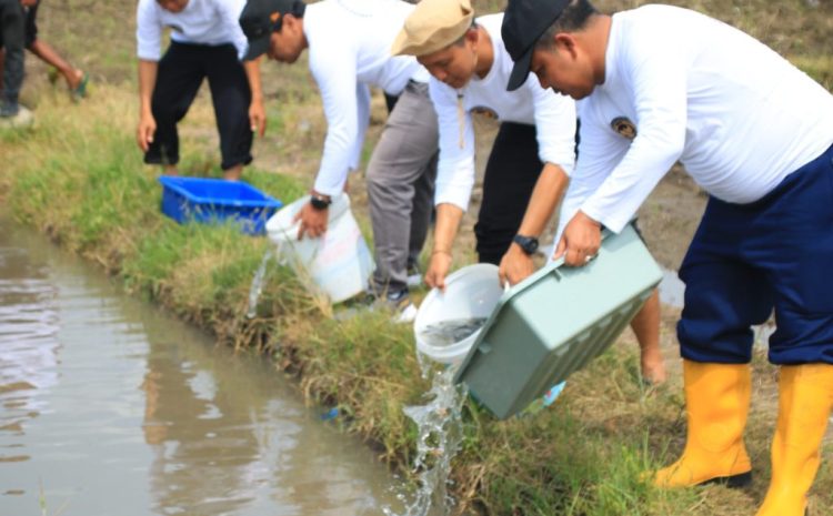  Program Ketahanan Pangan Berlanjut, Komoditas di Lahan SAE Pakis Lapas Banyuwangi Semakin Beragam