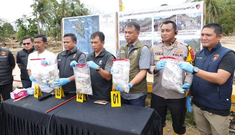Bareskrim Polri Selidiki Asal Usul Gelondongan Kayu Yang Hanyut dan Tutup Aliran Sungai di Anggoli-Garoga Sumut 