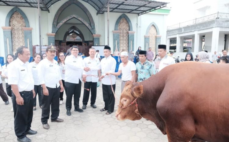  Wakil Bupati Toraja Utara Hadiri Serah Terima Bantuan Kemasyarakatan Berupa Sapi Kurban di Masjid Nurul Taqwa Bolu