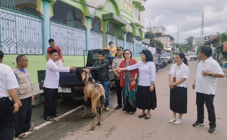  Keluarga Besar Bupati Toraja Utara Serahkan Hewan Kurban untuk Masjid Besar Rantepao dan Masjid Taqwa Karassik