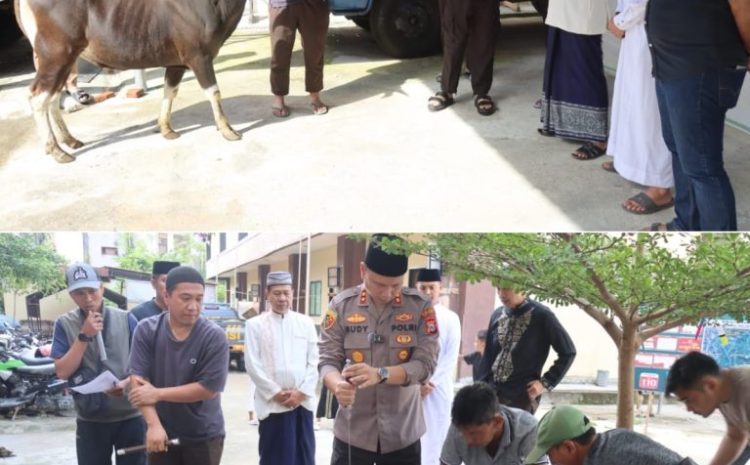  Polres Tana Toraja Sembelih 4 Ekor Sapi Kurban di Mapolres, Kapolres Bertindak sebagai Khatib  Shalat Idul Adha 