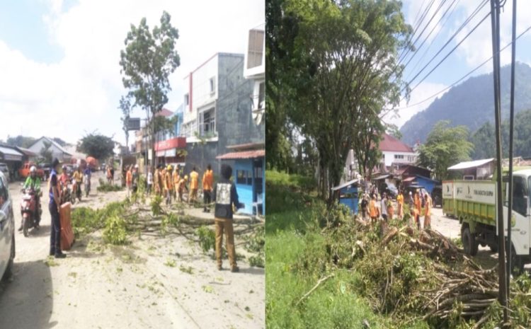  Cegah Bencana Demi Keselamatan Pengguna Jalan yang Melintas,BPBD Toraja Utara Pangkas Pohon di Pinggir Jalan Poros Utama