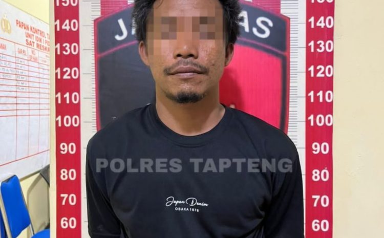  Rampas Ponsel IRT Paksa Korban ke Penginapan, Nelayan Asal Madina Ditangkap Polisi
