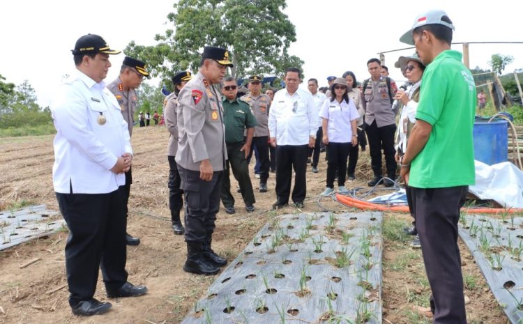  Kapolda Sumut Tinjau Sentra Bawang Putih di Samosir, Tegaskan Dukungan Polri untuk Ketahanan Pangan Nasional