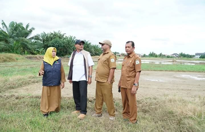 Pemkab Aceh Tamiang Percepat Pemulihan Lahan Pertanian Pascabencana