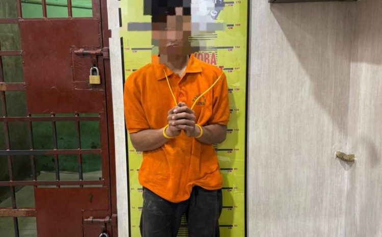 Satres Narkoba Polres Langkat Ungkap Kasus Narkotika, Pria 33 Tahun Diamankan