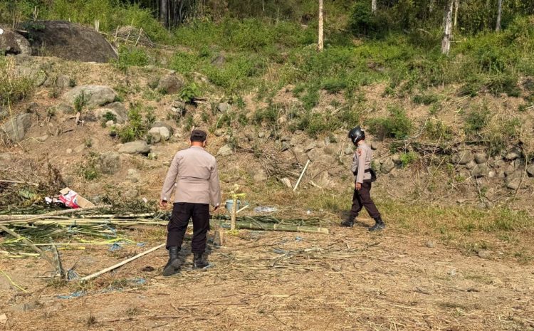  Polres Tana Toraja Bongkar Arena Diduga Disiapkan untuk Sabung Ayam di Rano, Kapolres Tegaskan Tak Ada Toleransi