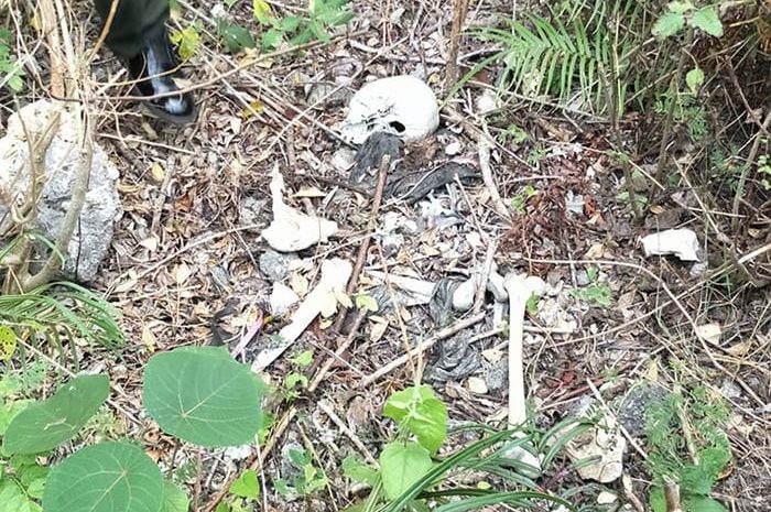  Geger! Kerangka Diduga Manusia Ditemukan Warga di Lahan Kosong Pasar Kemis