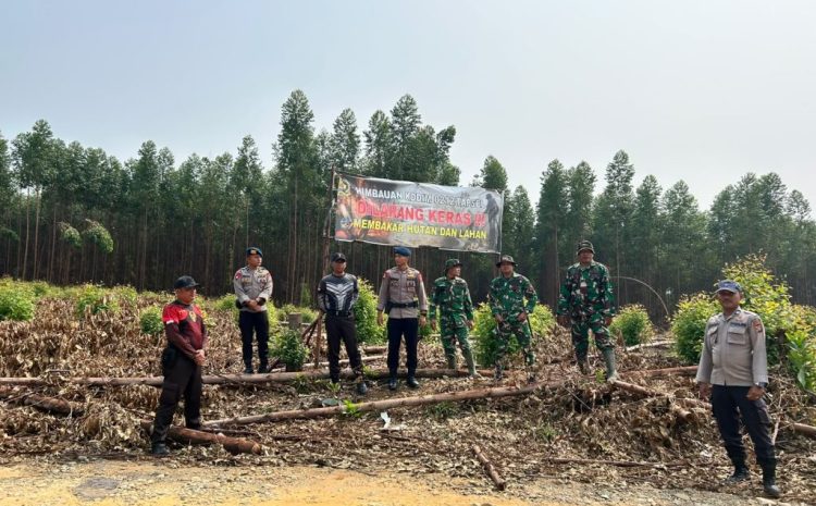  Tak Tunggu Api Membesar Brimob Sumut Perkuat Patroli Cegah Karhutla di Padang Lawas