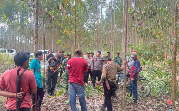  Gelar Patroli Gabungan Brimob Sumut Cegah KARHUTLAH di Wilayah PT Sumatera Sylva Lestari dan PT Sumatera Riang