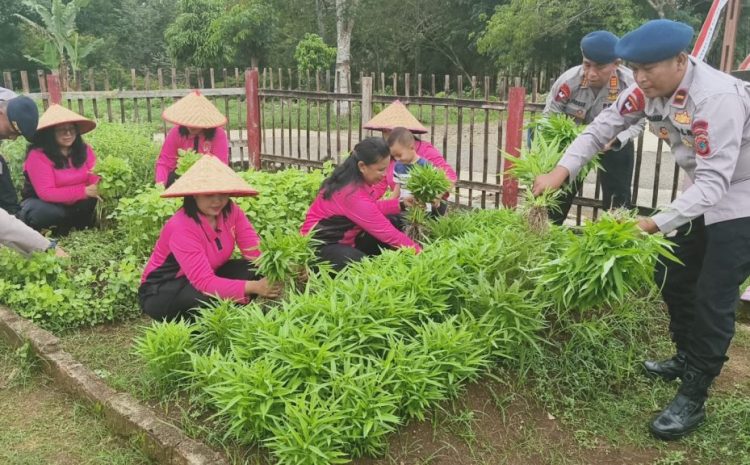  Wujud Mandiri Pangan, Kompi 1 Yon C Brimob dan Bhayangkari Kelola KRPL Hingga Panen