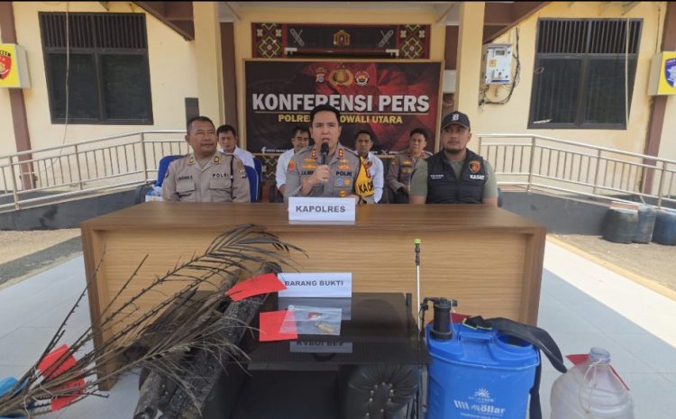  Kebakaran Lahan 15 Hektare di Morowali Utara, Warga Ditetapkan sebagai Tersangka